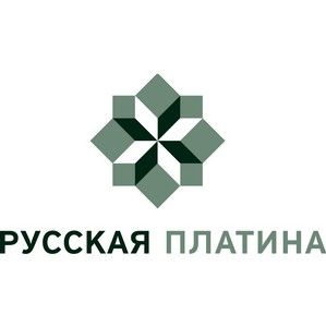 Серебряная булавка с логотипом компании
